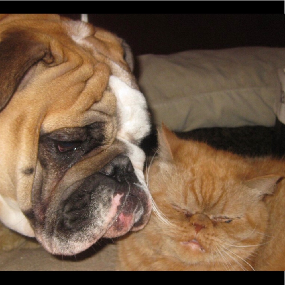 @Bekafab  FOLLOW GAME😻 - Picture 3 of 11